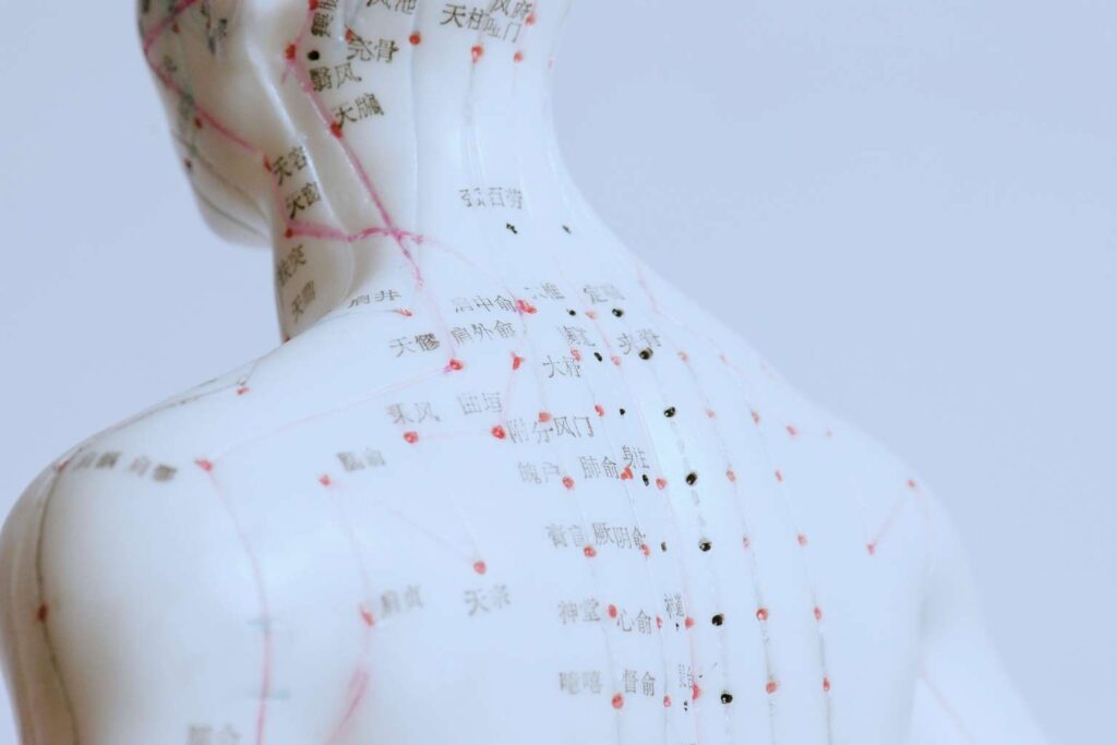 Fisioacupuntura para fisioterapeutas y osteopatas