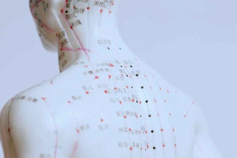 Fisioacupuntura para fisioterapeutas y osteopatas