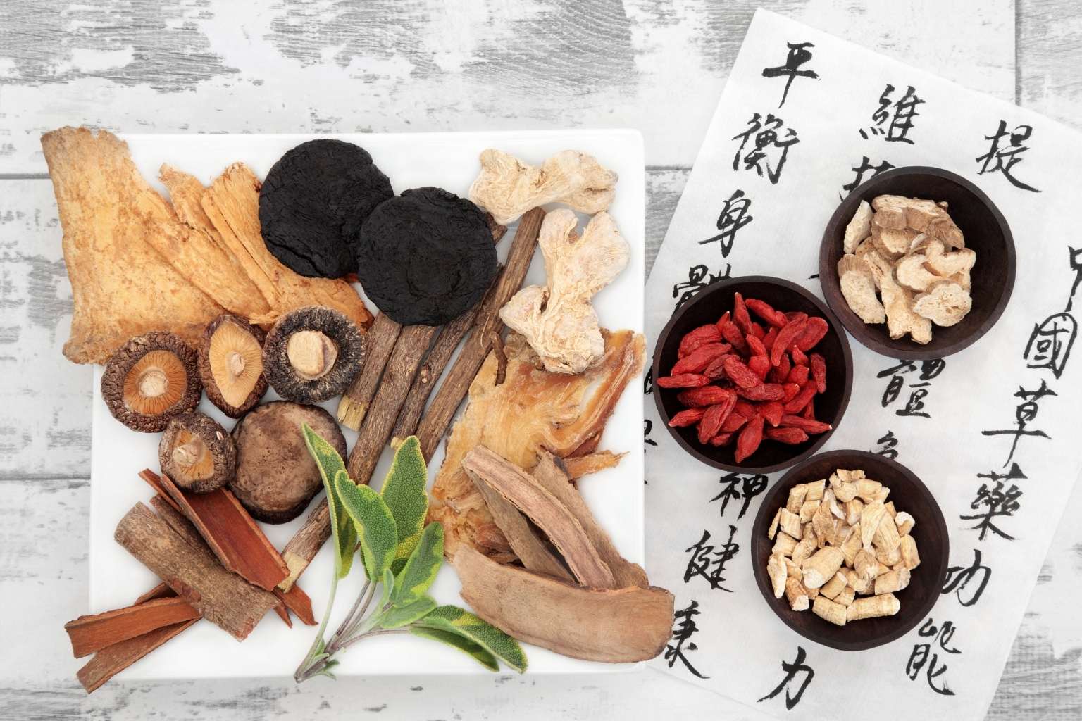 Curso de Medicina China: El Valor de la Nutriterapia